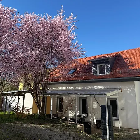 Gaestehaus Pack Of Patches