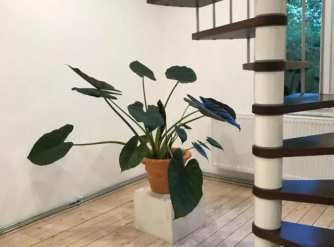 度假居 Gaestehaus Pack Of Patches 耶拿